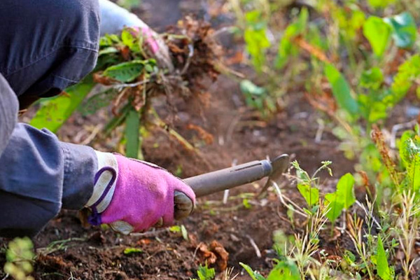 8 непростительных ошибок, которые вы совершаете каждую осень