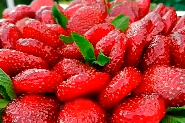 Цукаты из клубники: невероятно красиво и фантастически вкусно